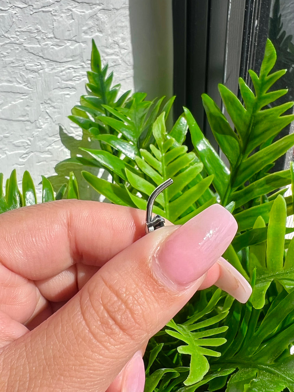 Wednesday Belly Bar